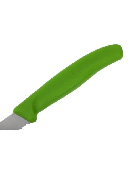 Couteau d'office lame dentée bout pointu Victorinox vert 80mm