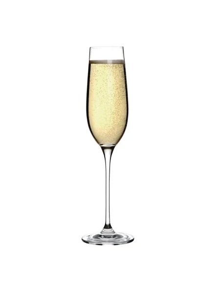 Flûtes à champagne en cristal Olympia Campana 260ml (Lot de 6)