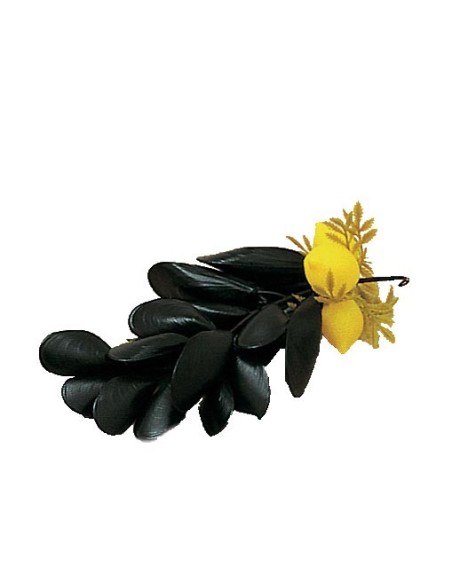 GRAPPES DE MOULES AVEC CITRON