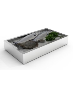 BAC À GLACE PILÉE EN CONSTRUCTION 3/1 GN 2