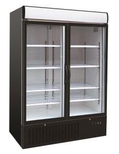 CONGÉLATEUR 2 PORTES EN VERRE
