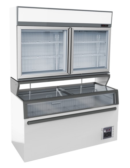 CHAMBRE MURALE FRIGORIFIQUES BLANC 2 PORTES EN VERRE