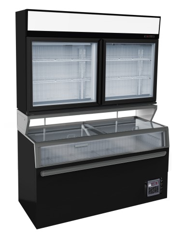 CHAMBRE MURALE FRIGORIFIQUES NOIR 2 PORTES EN...