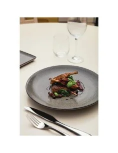 Assiettes plates rondes Olympia Mineral 280mm 2