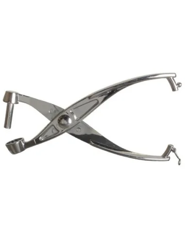 Dénoyauteur cerises et olives Tellier