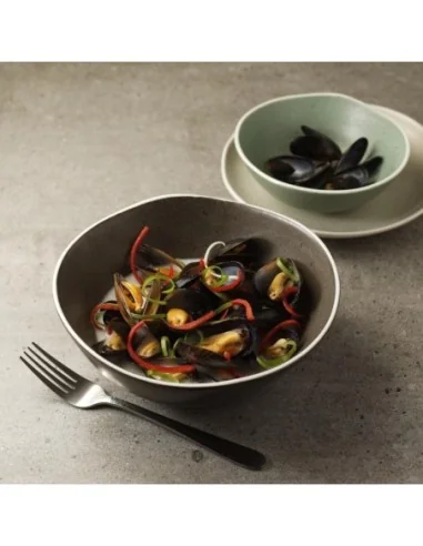 Saladiers gris Chia Olympia 21 cm (x6)