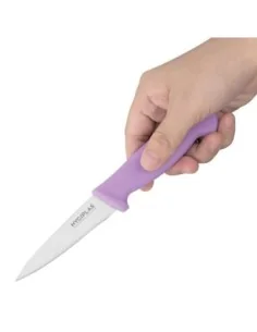 Couteau d'office Hygiplas violet 9cm 2