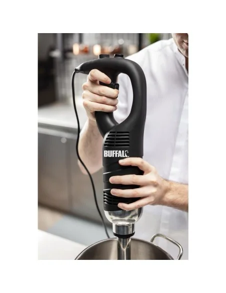 Mixeur plongeant vitesse variable Buffalo 300mm