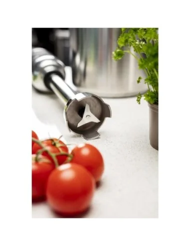 Mixeur plongeant vitesse variable Buffalo 400mm