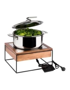 Table à induction APS 354 x 325 mm 2