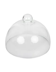 Cloche en verre 210mm 2