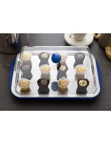 Plateau de présentation réfrigéré et couvercle APS