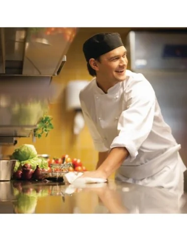 Distributeur blanc pour bobine à dévidage central Tork