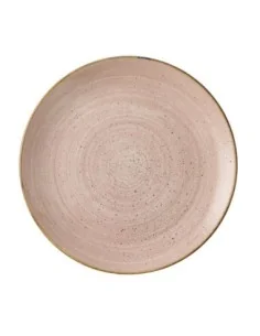 Assiettes avec rebord Churchill Stonecast Raw Terracotta Evolve 260mm (Lot de 12)
