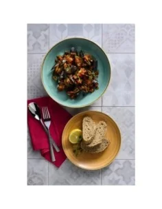 Assiettes avec rebord Churchill Stonecast Tangerine 288mm (Lot de 12) 2