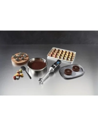 Mixeur plongeant Quik Stik Waring WSB35K