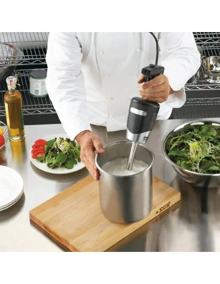 Mixeur plongeant Quik-Stik Waring WSB40E