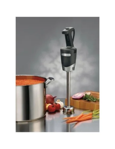 Mixeur plongeant Quik-Stik Waring WSB40E