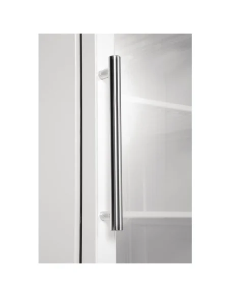 Vitrine réfrigérée négative Polar Série C 365L