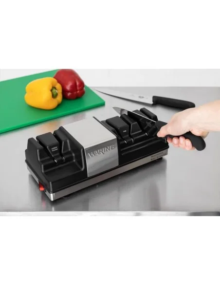 Aiguiseur professionnel Waring