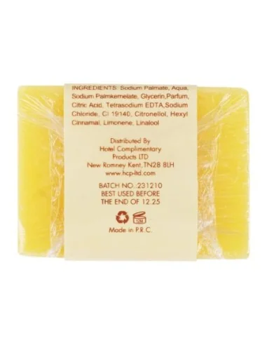 Savon Elsyl Natural (Lot de 50)