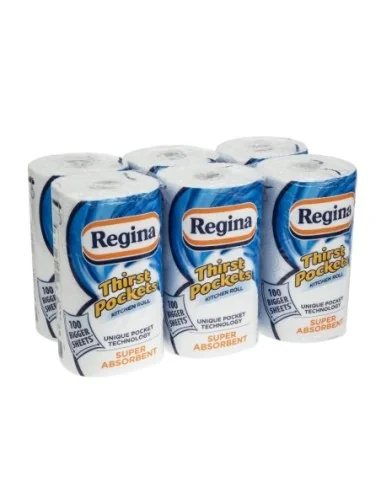 Essuie-tout Regina Thirst pockets 100 feuilles (x6)
