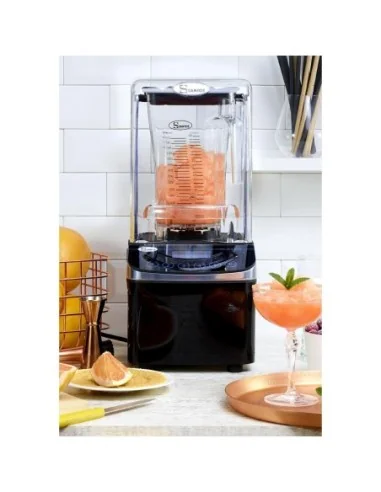 Blender silencieux Brushless Santos 62A