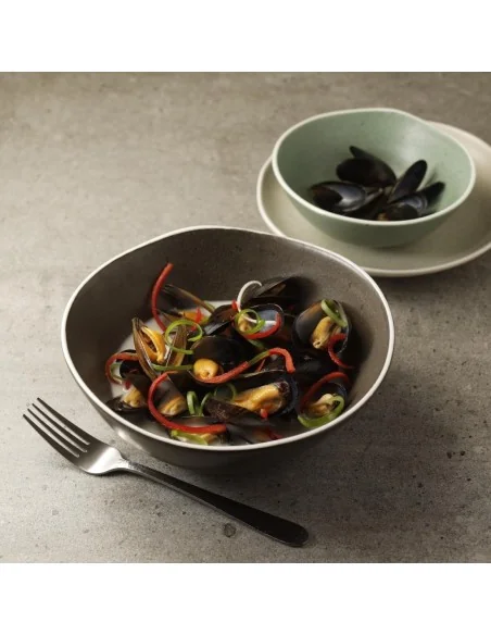 Saladiers gris Chia Olympia 21 cm (x6)