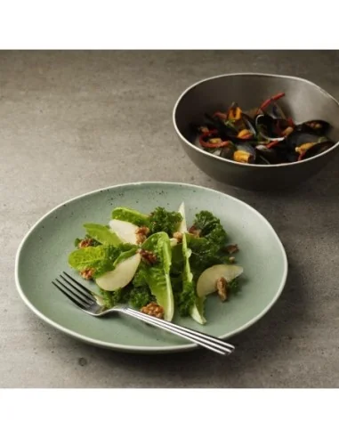 Saladiers gris Chia Olympia 21 cm (x6)