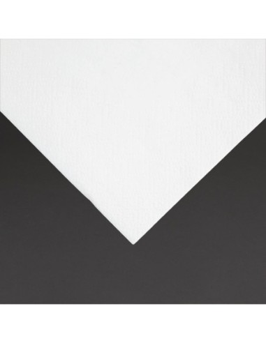 Serviettes cocktail 2 plis pliage 1/4 Fiesta Recyclable 240mm blanches (lot de 4000)