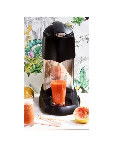 Presse-agrumes à levier Santos 70 Evolution