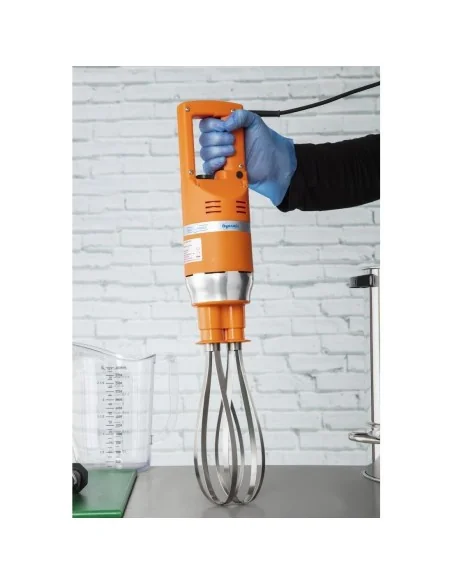 Fouet Dynamic Master FT97